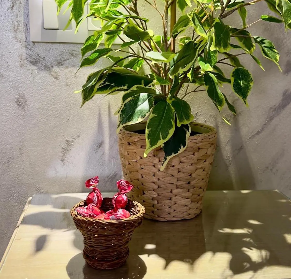 Wehostcostaluz Le Petit Palace Catedral Con Parking Gratuito Jerez de la Frontera Apartment